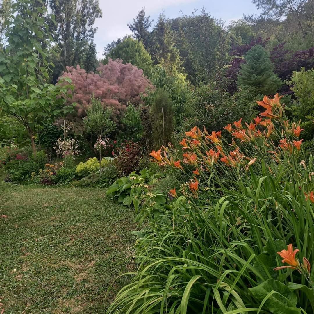 La Haie A Cerf Watronville Εξωτερικό φωτογραφία