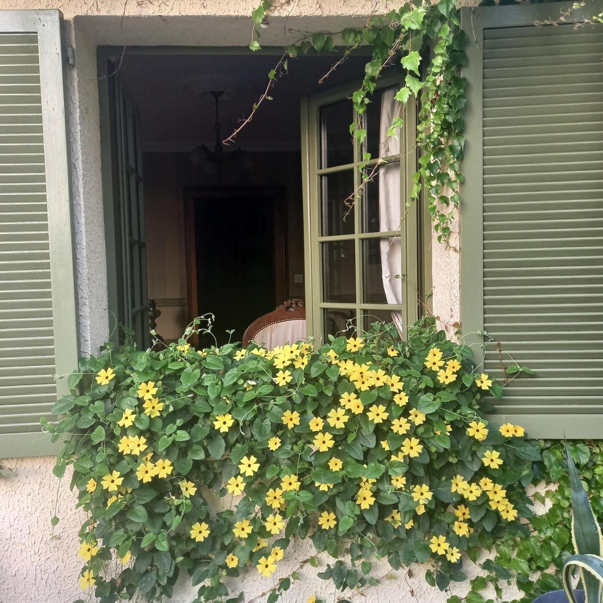 La Haie A Cerf Watronville Εξωτερικό φωτογραφία