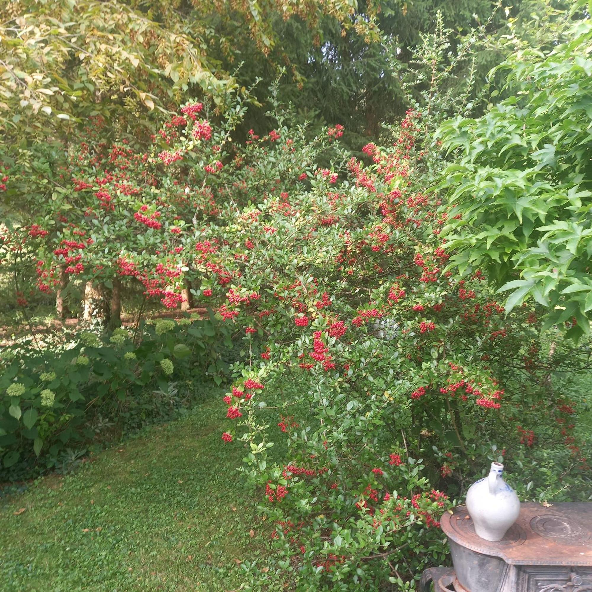 La Haie A Cerf Watronville Εξωτερικό φωτογραφία