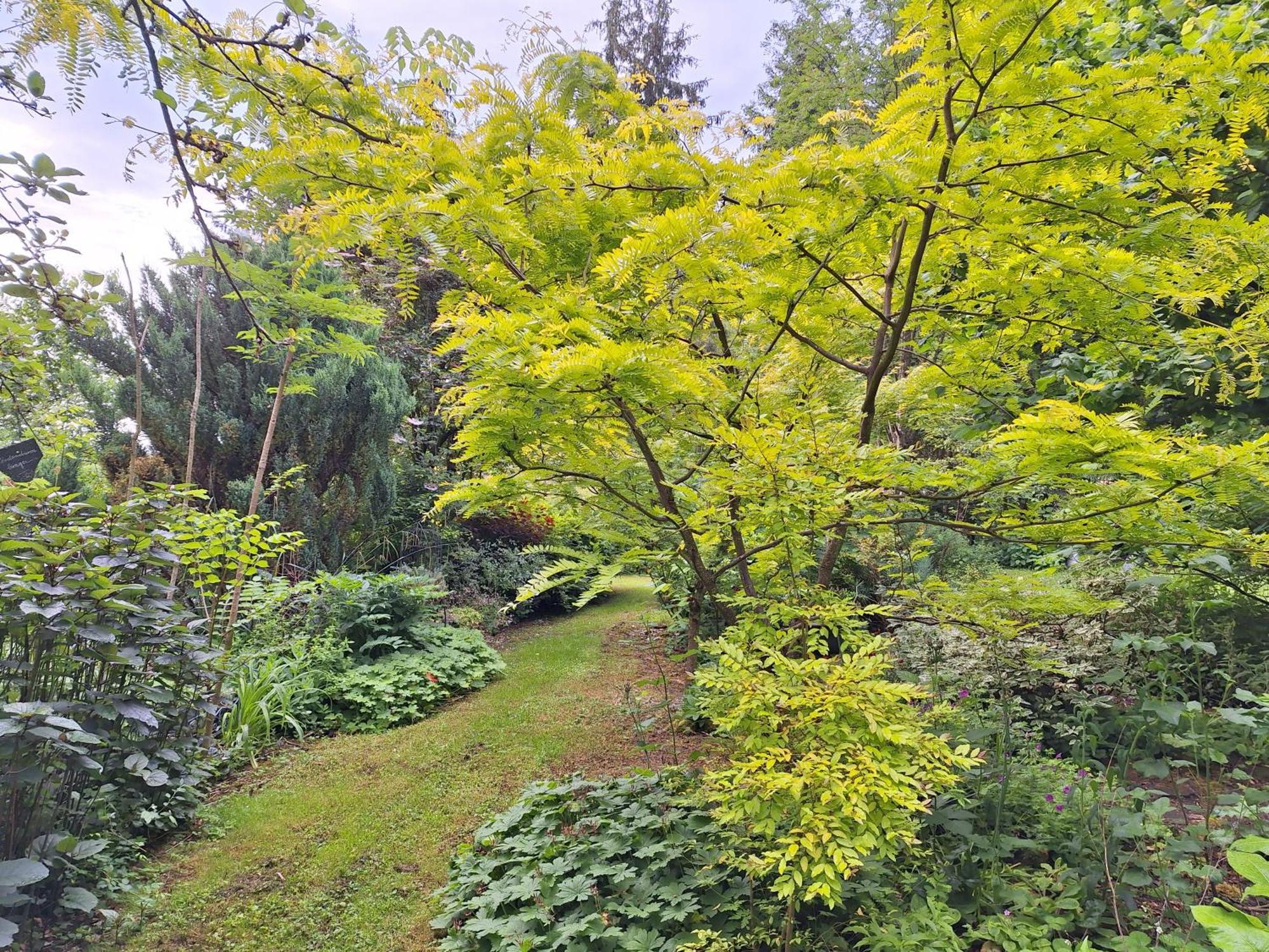 La Haie A Cerf Watronville Δωμάτιο φωτογραφία