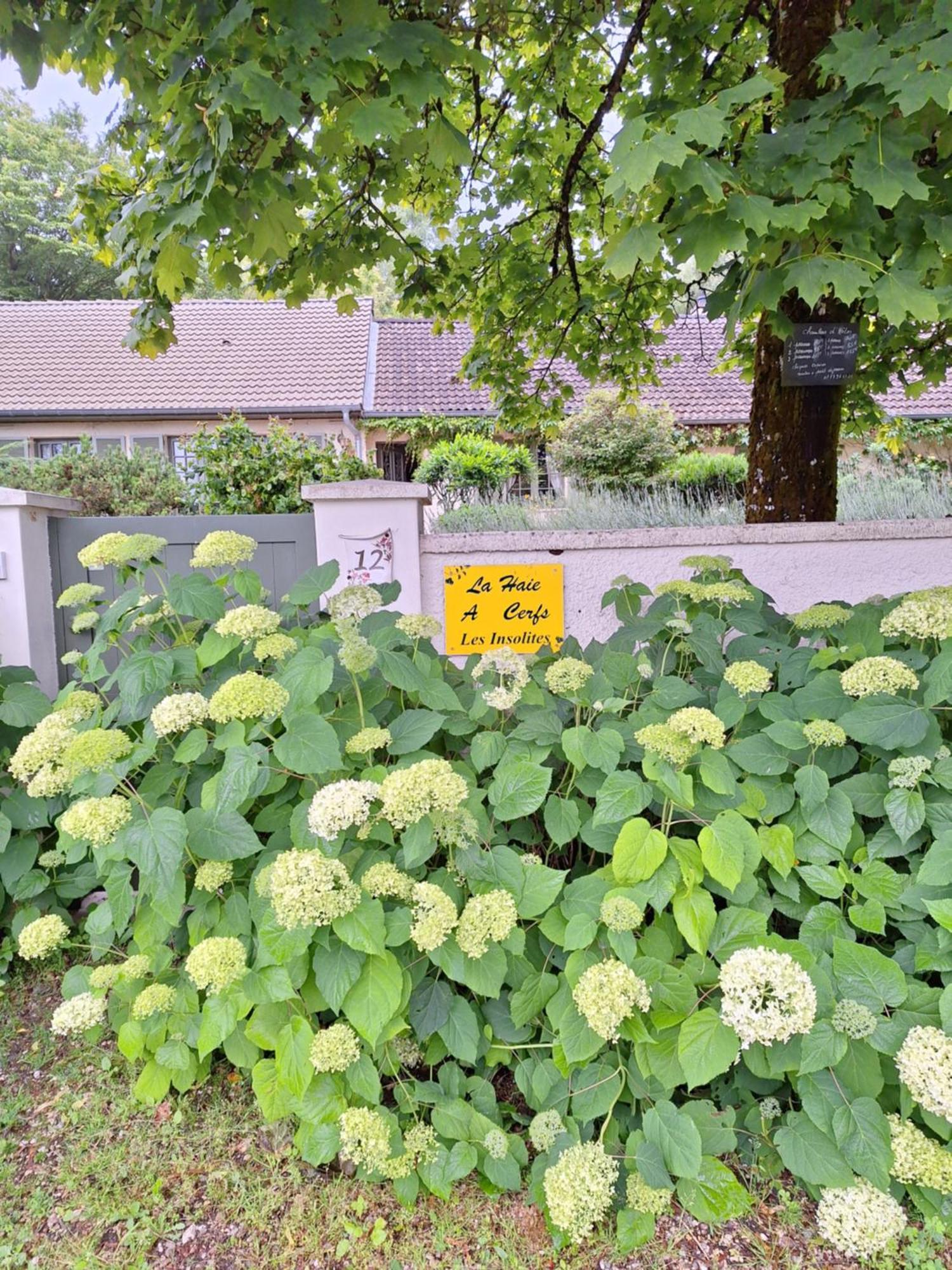 La Haie A Cerf Watronville Εξωτερικό φωτογραφία